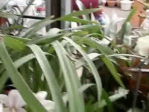 que rica cole encontre (11)